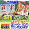 新米 令和6年産 宮崎産 コシヒカリ 10kg (5kg×2袋) 送料無料 玄米 白米 7分づき 5分づき 3分づき オーダー精米