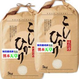 新米 令和７年産 特別栽培米 天草 コシヒカリ 10kg  (5kg×2袋) 熊本産 送料無料 玄米 白米 7分づき 5分づき 3分づき オーダー精米 