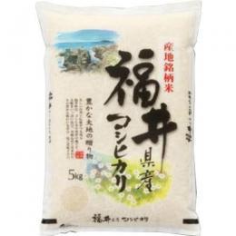 新米 令和７年産 福井産 コシヒカリ 5kg 送料無料 玄米 白米 7分づき 5分づき 3分づき お好みに精米します 