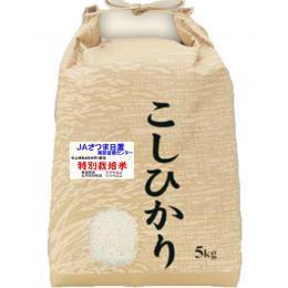 新米 令和７年産 特別栽培米 吹上 コシヒカリ 5kg 鹿児島 JAさつま日置産 玄米 白米 7分づき 5分づき 3分づき 【出荷日精米】
