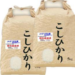 新米 令和７年産 特別栽培米 吹上 コシヒカリ 10kg (5kg×2) 鹿児島 JAさつま日置産 玄米 白米 7分づき 5分づき 3分づき 【出荷日精米】