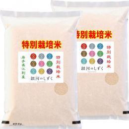 特別栽培米 岩手県産 銀河のしずく 10kg （5kg×2袋） 令和７年産 送料無料 玄米 白米 7分づき 5分づき 3分づき お好みに精米します 令和6年産