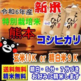 新米 令和6年産 特別栽培米 天草 コシヒカリ 10kg  (5kg×2袋) 熊本産 送料無料 玄米 白米 7分づき 5分づき 3分づき オーダー精米