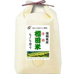 令和７年産 福岡産 ヒノヒカリ 棚田米 5kg JAにじ農協産 送料無料 玄米 白米 7分づき 5分づき 3分づき つきたて米