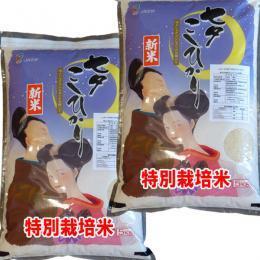 新米 令和7年産 七夕コシヒカリ 10kg (5kg×2) 佐賀県 JA白石産 送料無料 玄米 白米 7分づき 5分づき 3分づき オーダー精米