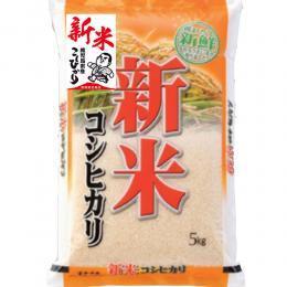 新米 令和７年産 お米 鹿児島産 コシヒカリ 5kg 玄米 白米 7分づき 5分づき 3分づき 出荷日精米
