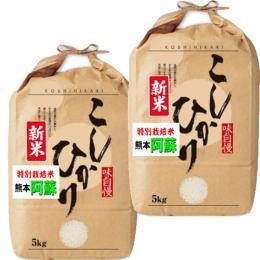 令和5年産 熊本産 阿蘇コシヒカリ 10kg (5kg×2袋) 特別栽培米 送料無料 玄米 白米 7分づき 5分づき 3分づき お好みに精米