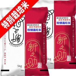 新米 令和6年産 特別栽培米 新之助 しんのすけ 10kg  (5kg×2袋) 新潟県産 送料無料 玄米 白米 7分づき 5分づき 3分づき オーダー精米