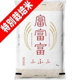 新米 令和6年産 特別栽培米 ふふふ 富富富 5kg 富山県産 送料無料 玄米 白米 7分づき 5分づき 3分づき オーダー精米