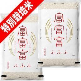 特別栽培米 ふふふ 富富富 10kg  (5kg×2袋) 富山県産 送料無料 玄米 白米 7分づき 5分づき 3分づき オーダー精米 令和6年産