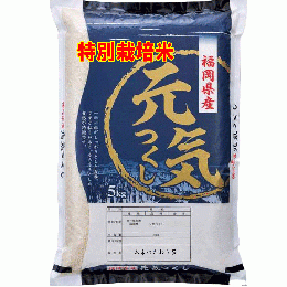 新米 令和７年産 特別栽培米 福岡県産 元気つくし 5kg 送料無料 玄米 白米 7分づき 5分づき 3分づき つきたて米 