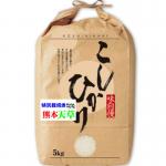 新米 令和７年産 特別栽培米 天草 コシヒカリ 5kg 熊本産 送料無料 玄米 白米 7分づき 5分づき 3分づき オーダー精米 