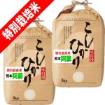 熊本産 阿蘇コシヒカリ 10kg (5kg×2袋) 特別栽培米 送料無料 玄米 白米 7分づき 5分づき 3分づき お好みに精米 令和6年産