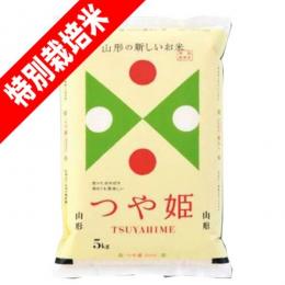 令和5年産 特A米 山形県産 つや姫 特別栽培米 5kg 送料無料 玄米 白米 7分づき 5分づき 3分づき