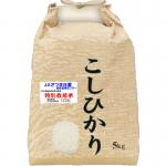 新米 令和７年産 特別栽培米 吹上 コシヒカリ 5kg 鹿児島 JAさつま日置産 玄米 白米 7分づき 5分づき 3分づき 【出荷日精米】