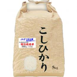 新米 令和７年産 特別栽培米 吹上 コシヒカリ 5kg 鹿児島 JAさつま日置産 玄米 白米 7分づき 5分づき 3分づき 【出荷日精米】