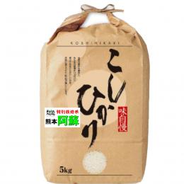 新米 令和6年産 熊本産 阿蘇 コシヒカリ 5kg 特別栽培米 送料無料 玄米 白米 7分づき 5分づき 3分づき お好みに精米します