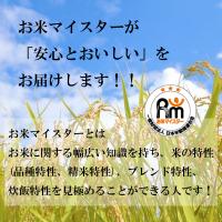 だて正夢 宮城県産 5kg 送料無料 玄米 白米 7分づき 5分づき 3分づき オーダー精米 令和6年産