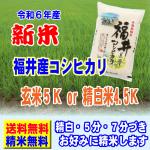 新米 令和6年産 福井産 コシヒカリ 5kg 送料無料 玄米 白米 7分づき 5分づき 3分づき お好みに精米します