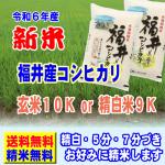 新米 令和6年産 福井産 コシヒカリ 10kg (5kg×2袋) 送料無料 玄米 白米 7分づき 5分づき 3分づき お好みに精米します