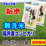 新米 令和6年産 無洗米 福井産 コシヒカリ 10kg （5kg×2袋） 送料無料 ご注文後に精米発送します