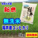 新米 令和6年産 無洗米 福井産 コシヒカリ 5kg 送料無料 ご注文後に精米発送します