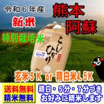 新米 令和6年産 熊本産 阿蘇 コシヒカリ 5kg 特別栽培米 送料無料 玄米 白米 7分づき 5分づき 3分づき お好みに精米します