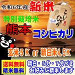 新米 令和6年産 特別栽培米 天草 コシヒカリ 5kg 熊本産 送料無料 玄米 白米 7分づき 5分づき 3分づき オーダー精米