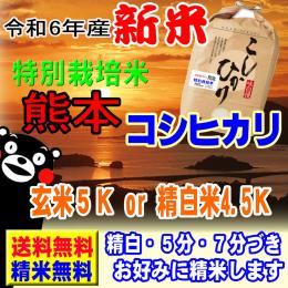 新米 令和6年産 特別栽培米 天草 コシヒカリ 5kg 熊本産 送料無料 玄米 白米 7分づき 5分づき 3分づき オーダー精米