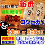 新米 令和6年産 特別栽培米 天草 コシヒカリ 10kg  (5kg×2袋) 熊本産 送料無料 玄米 白米 7分づき 5分づき 3分づき オーダー精米