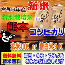 新米 令和6年産 特別栽培米 天草 コシヒカリ 10kg  (5kg×2袋) 熊本産 送料無料 玄米 白米 7分づき 5分づき 3分づき オーダー精米