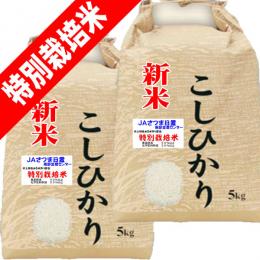 商品詳細 令和5年産 特別栽培米 吹上 コシヒカリ 10kg (5kg×2) 鹿児島