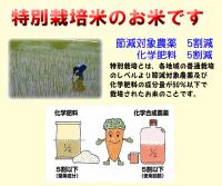 新米 令和6年産 特別栽培米 吹上 コシヒカリ 5kg 鹿児島 JAさつま日置産 玄米 白米 7分づき 5分づき 3分づき 【出荷日精米】