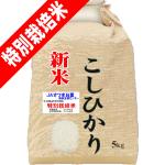 新米 令和6年産 特別栽培米 吹上 コシヒカリ 5kg 鹿児島 JAさつま日置産 玄米 白米 7分づき 5分づき 3分づき 【出荷日精米】