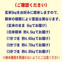 令和5年産 北海道産 ゆめぴりか 5kg  玄米 白米 7分づき 5分づき お好みに精米します