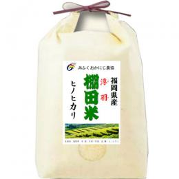 令和７年産 福岡産 ヒノヒカリ 棚田米 5kg JAにじ農協産 送料無料 玄米 白米 7分づき 5分づき 3分づき つきたて米