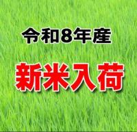 新米 令和8年産 宮崎産 コシヒカリ 5kg 送料無料 玄米 白米 7分づき 5分づき 3分づき オーダー精米