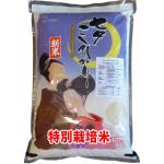新米 令和7年産 七夕コシヒカリ 5kg 佐賀県 JA白石産 送料無料 玄米 白米 7分づき 5分づき 3分づき オーダー精米