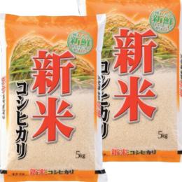 新米 令和6年産 宮崎産 コシヒカリ 10kg (5kg×2袋) 送料無料 玄米 白米 7分づき 5分づき 3分づき オーダー精米