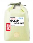 新米100％ 富山県産 コシヒカ リ 5kg 入善町指定米 玄米 白米 7分づき 5分づき 3分づき お米 出荷日精米 送料無料 令和8年産