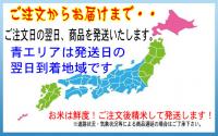 新米 令和6年産 宮崎産 コシヒカリ 5kg 送料無料 玄米 白米 7分づき 5分づき 3分づき オーダー精米