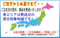新米 令和7年産 七夕コシヒカリ 10kg (5kg×2) 佐賀県 JA白石産 送料無料 玄米 白米 7分づき 5分づき 3分づき オーダー精米