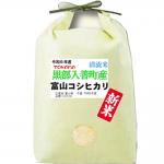 新米 令和6年産 お米 5kg 富山県産 コシヒカリ 入善町指定米 玄米 白米 7分づき 5分づき 3分づき 出荷日精米 送料無料