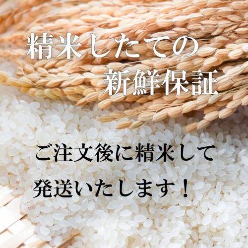 新米 令和6年産 お米 5kg 富山県産 コシヒカリ 入善町指定米 玄米 白米 7分づき 5分づき 3分づき 出荷日精米 送料無料