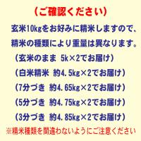 新米 令和6年産 宮崎産 コシヒカリ 10kg (5kg×2袋) 送料無料 玄米 白米 7分づき 5分づき 3分づき オーダー精米