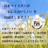 新米 令和6年産 宮崎産 コシヒカリ 10kg (5kg×2袋) 送料無料 玄米 白米 7分づき 5分づき 3分づき オーダー精米