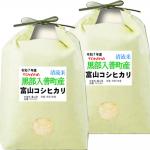 新米 令和７年産 富山県産 コシヒカリ 10kg (5kg×2袋) 入善町指定米 玄米 白米 7分づき 5分づき 3分づき お米 出荷日精米 送料無料 