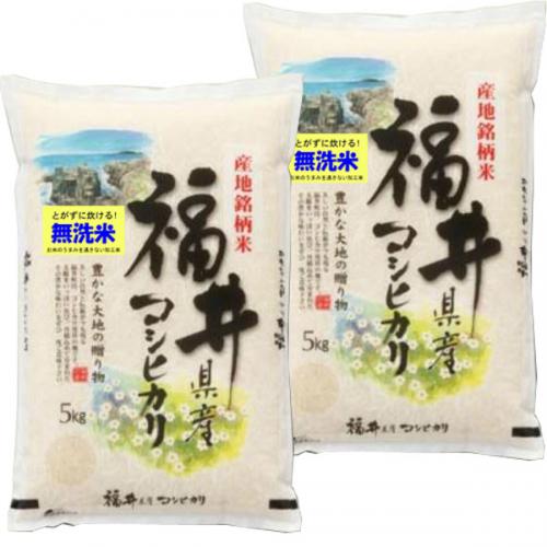 新米 令和6年産 無洗米 福井産 コシヒカリ 10kg （5kg×2袋） 送料無料 ご注文後に精米発送します