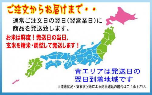 新米 令和6年産 無洗米 福井産 コシヒカリ 10kg （5kg×2袋） 送料無料 ご注文後に精米発送します