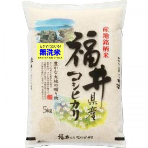 新米 令和6年産 無洗米 福井産 コシヒカリ 5kg 送料無料 ご注文後に精米発送します